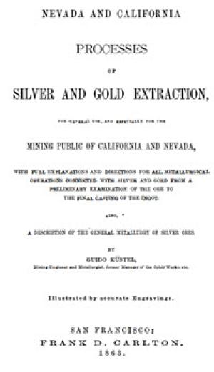 Nevada and California Processes of Silver and Gold Extraction 10257198